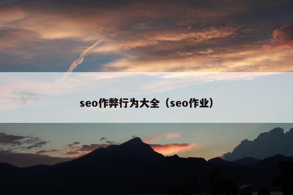 seo作弊行为大全（seo作业）