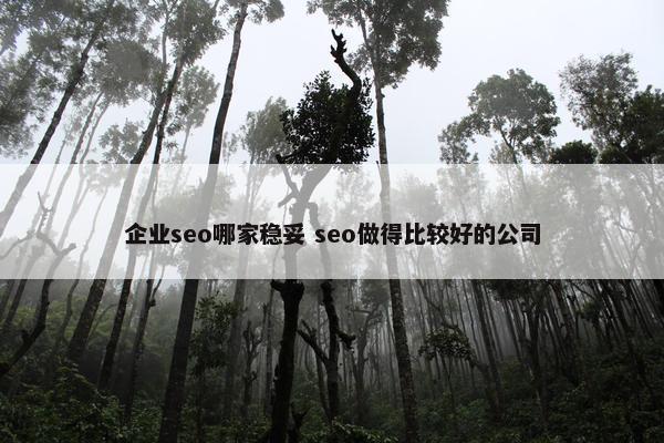 企业seo哪家稳妥 seo做得比较好的公司