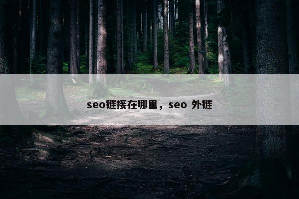 seo链接在哪里，seo 外链