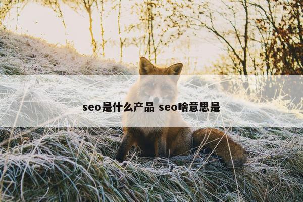 seo是什么产品 seo啥意思是