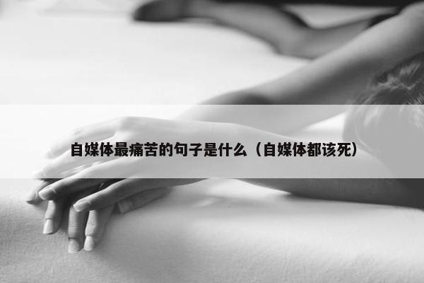 自媒体最痛苦的句子是什么（自媒体都该死）