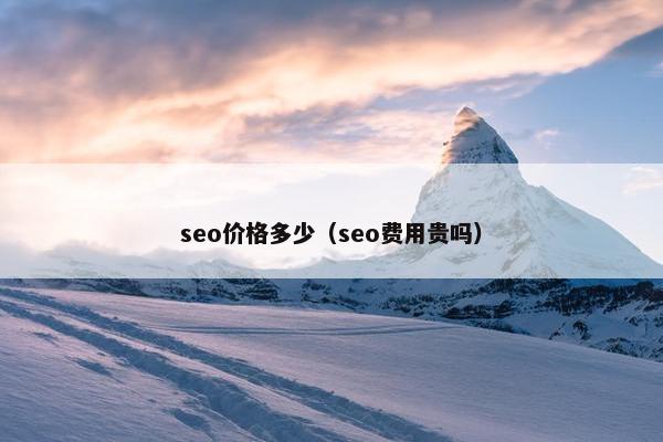 seo价格多少（seo费用贵吗）