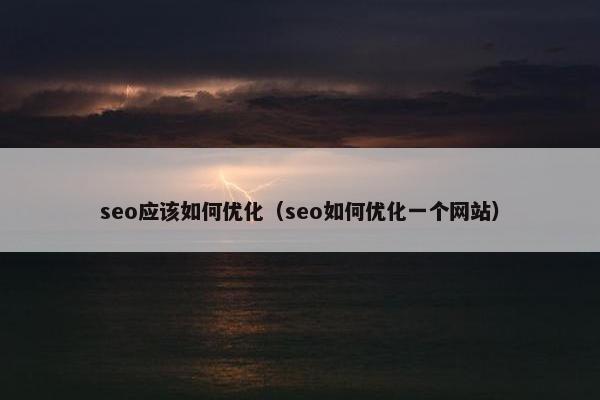 seo应该如何优化（seo如何优化一个网站）