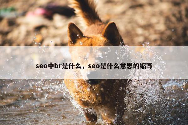 seo中br是什么，seo是什么意思的缩写