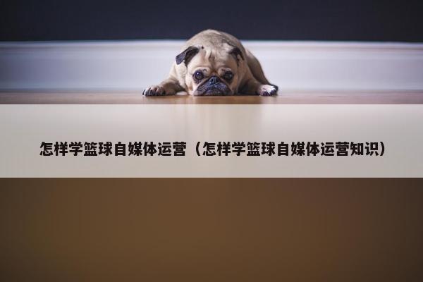 怎样学篮球自媒体运营（怎样学篮球自媒体运营知识）