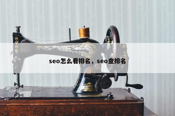 seo怎么看排名，seo查排名