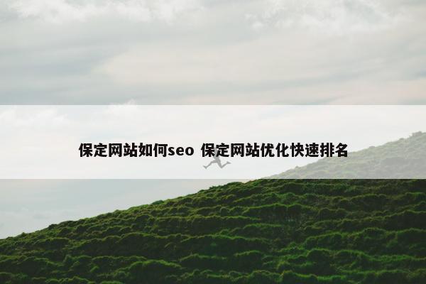 保定网站如何seo 保定网站优化快速排名