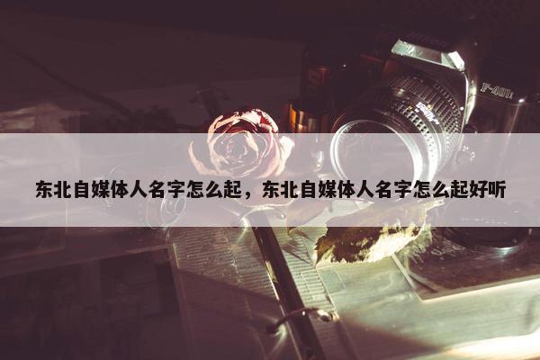 东北自媒体人名字怎么起，东北自媒体人名字怎么起好听