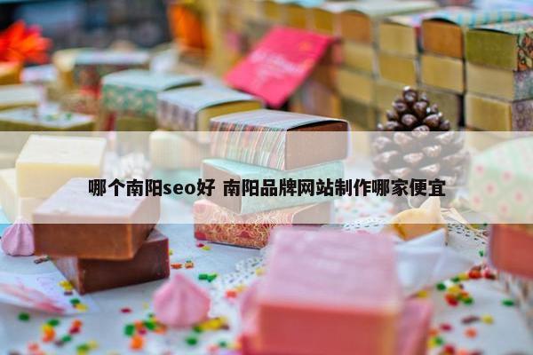 哪个南阳seo好 南阳品牌网站制作哪家便宜