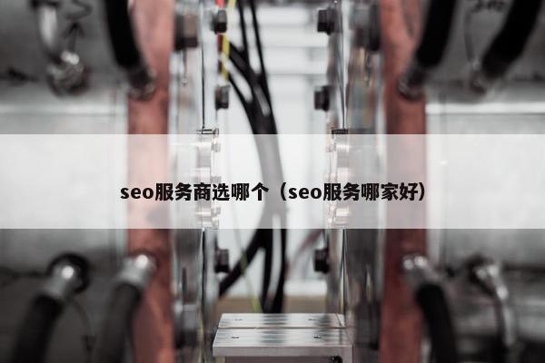 seo服务商选哪个（seo服务哪家好）