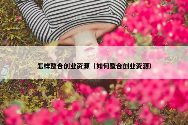 怎样整合创业资源（如何整合创业资源）