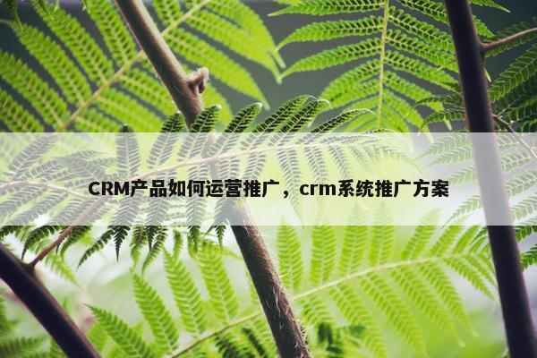 CRM产品如何运营推广，crm系统推广方案