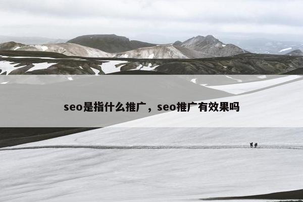 seo是指什么推广，seo推广有效果吗