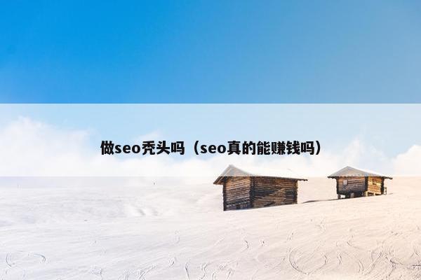 做seo秃头吗（seo真的能赚钱吗）