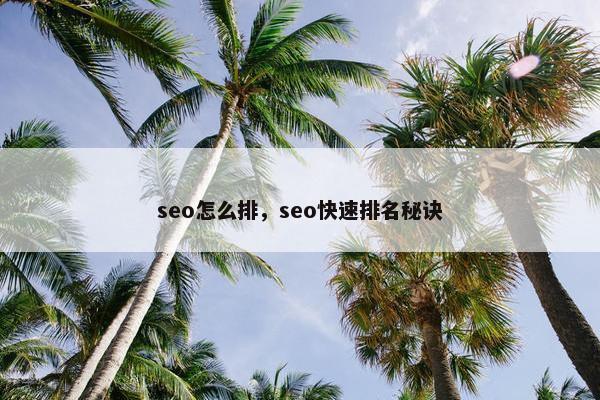 seo怎么排，seo快速排名秘诀