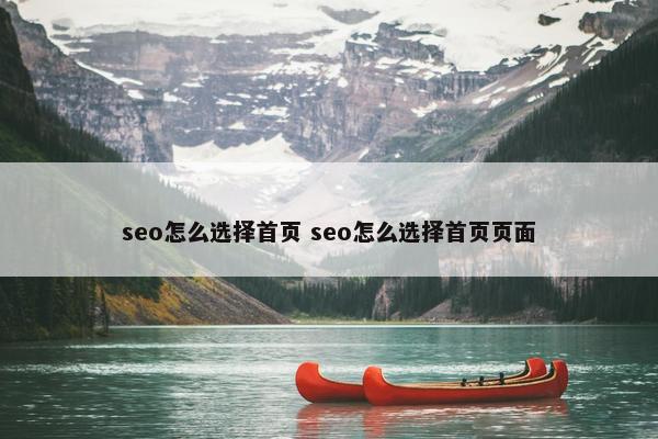 seo怎么选择首页 seo怎么选择首页页面