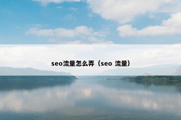 seo流量怎么弄（seo 流量）