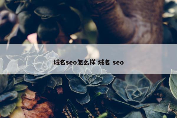 域名seo怎么样 域名 seo