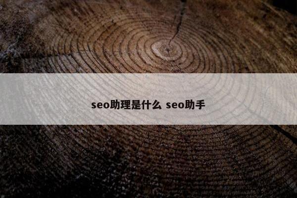 seo助理是什么 seo助手