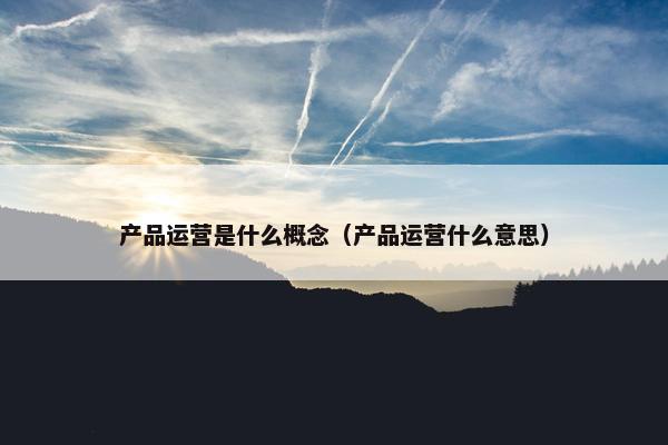 产品运营是什么概念（产品运营什么意思）