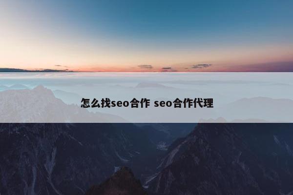 怎么找seo合作 seo合作代理