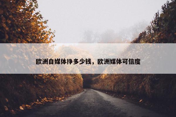 欧洲自媒体挣多少钱，欧洲媒体可信度