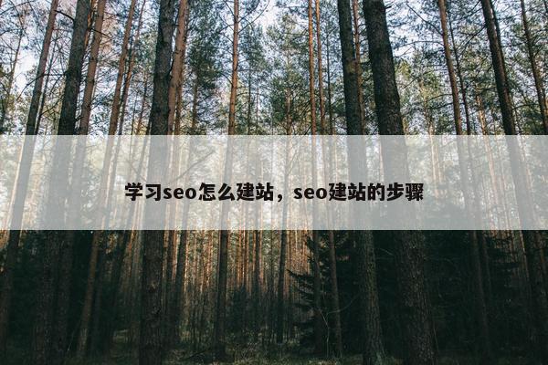 学习seo怎么建站，seo建站的步骤