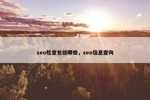 seo检查包括哪些，seo信息查询