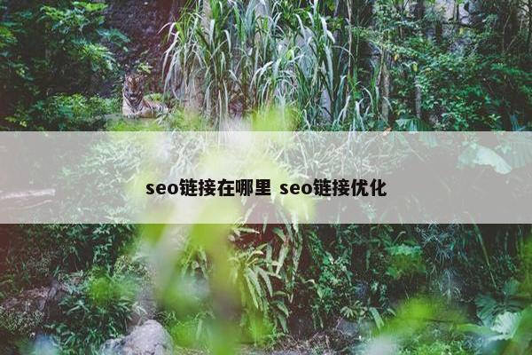 seo链接在哪里 seo链接优化