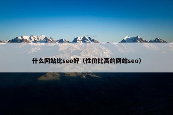 什么网站比seo好（性价比高的网站seo）