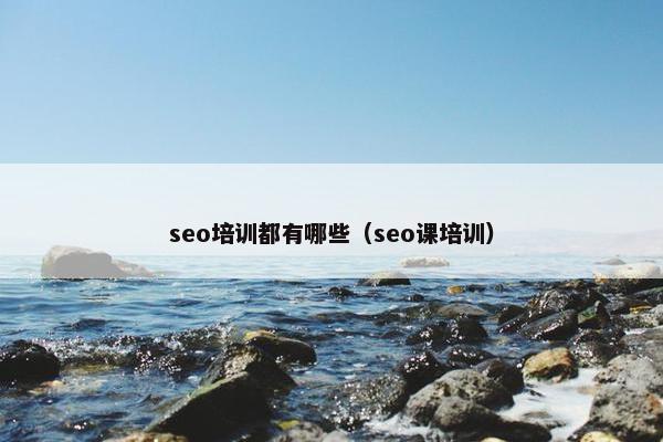 seo培训都有哪些（seo课培训）