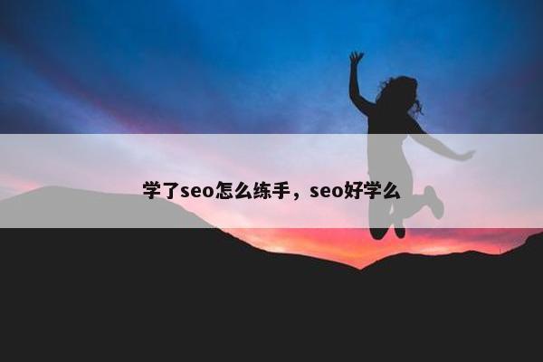 学了seo怎么练手，seo好学么