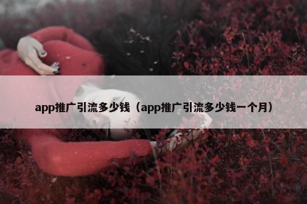 app推广引流多少钱（app推广引流多少钱一个月）