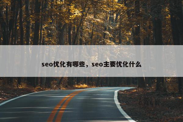 seo优化有哪些，seo主要优化什么