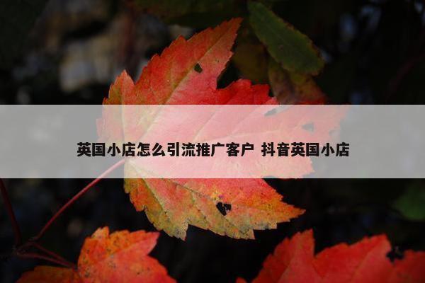 英国小店怎么引流推广客户 抖音英国小店