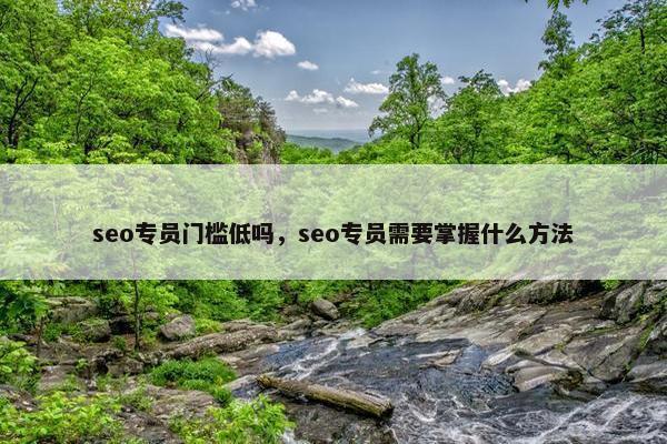 seo专员门槛低吗，seo专员需要掌握什么方法