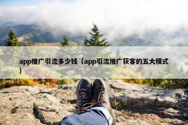 app推广引流多少钱（app引流推广获客的五大模式）