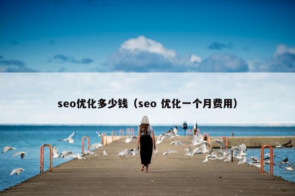 seo优化多少钱（seo 优化一个月费用）