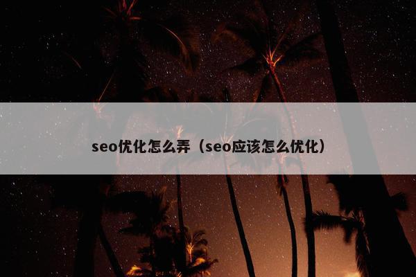 seo优化怎么弄（seo应该怎么优化）