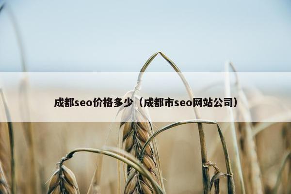 成都seo价格多少（成都市seo网站公司）