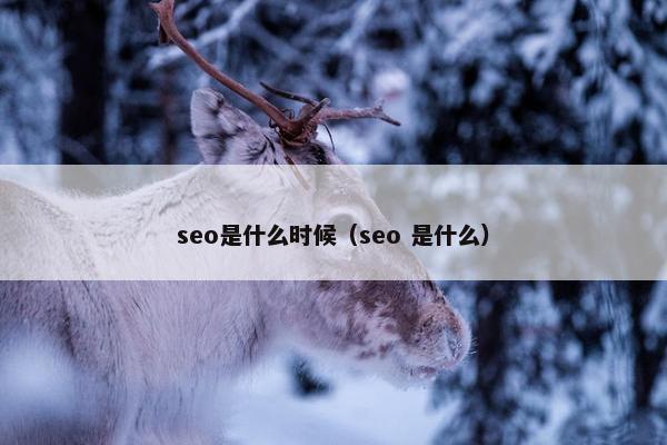 seo是什么时候（seo 是什么）