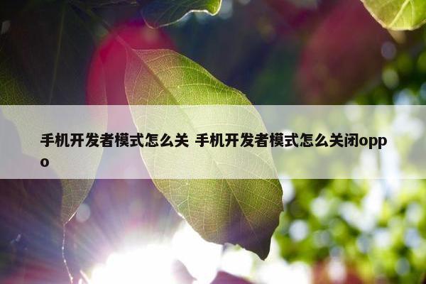 手机开发者模式怎么关 手机开发者模式怎么关闭oppo