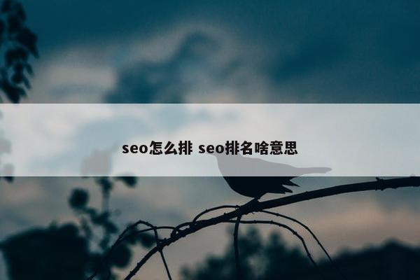 seo怎么排 seo排名啥意思