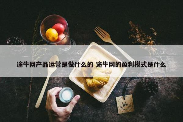 途牛网产品运营是做什么的 途牛网的盈利模式是什么