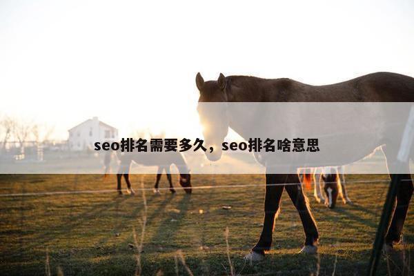 seo排名需要多久，seo排名啥意思