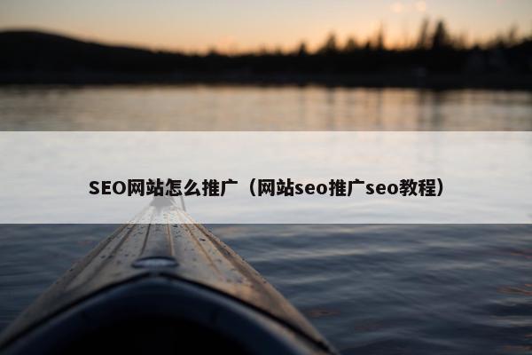 SEO网站怎么推广（网站seo推广seo教程）