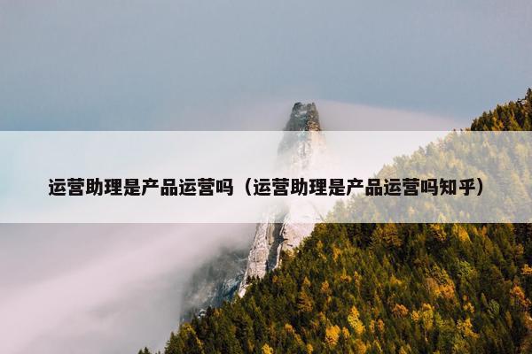 运营助理是产品运营吗（运营助理是产品运营吗知乎）