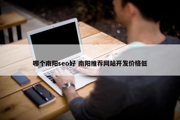 哪个南阳seo好 南阳推荐网站开发价格低