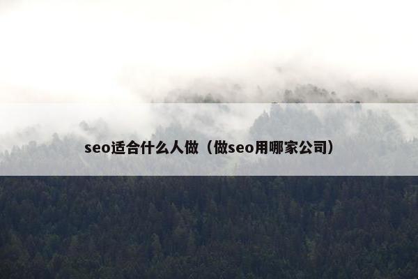 seo适合什么人做（做seo用哪家公司）