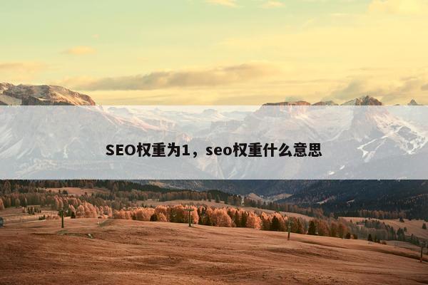 SEO权重为1，seo权重什么意思